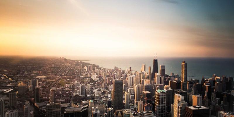 东莞东升红木：以合法木材采购与生态责任，铸就可持续发展的红木艺术