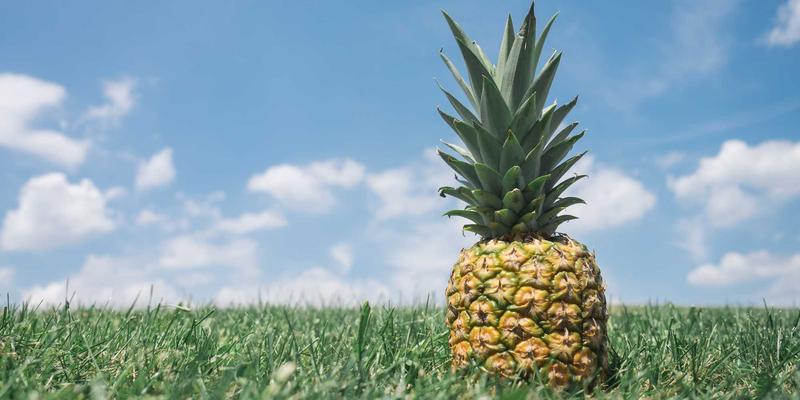 东莞东升红木：传承51载匠心，打造值得珍藏的红木家具与工艺品