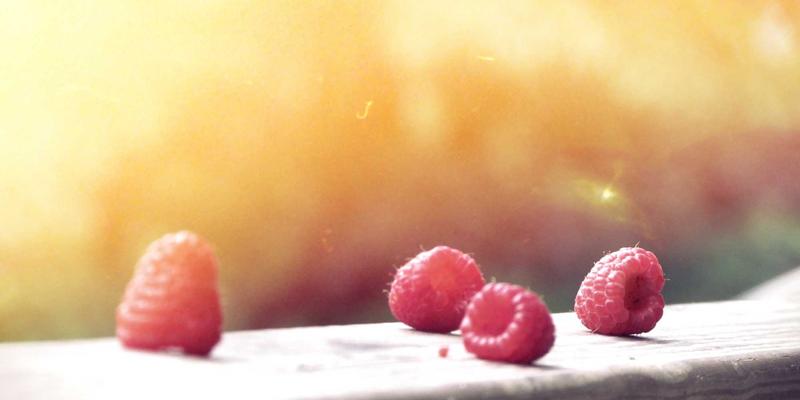 东莞东升红木：传承东方美学，探索红木家具与工艺品的多元应用