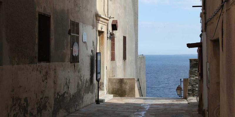 东莞东升红木：掌握这5大技巧，轻松鉴赏与保养传世红木家具与工艺品